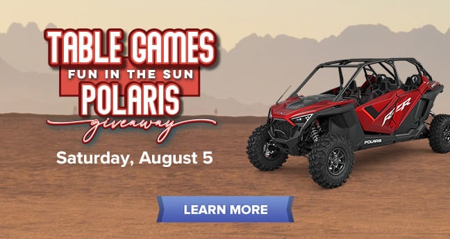 Table Games Fun In The Sun Polaris Giveaway