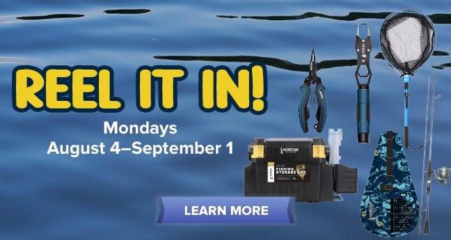 Reel It In!